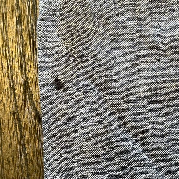 NWOT Guess Blue Cotton Lightweight Pants Drawstring Waist Size L - Picture 8 of 12